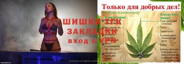 ПСИЛОЦИБИНОВЫЕ ГРИБЫ Осташков