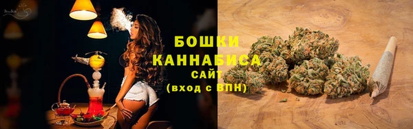 прущие крисы Гвардейск