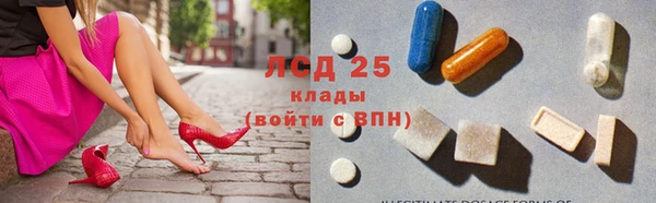 круглые Осинники
