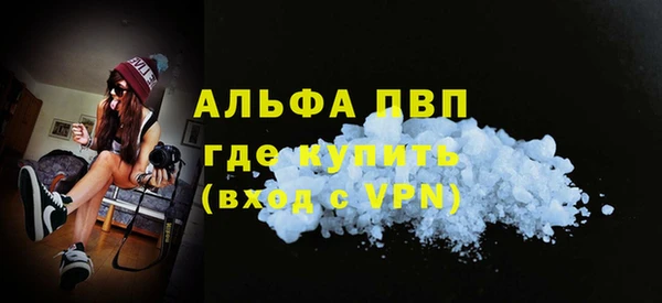 PSILOCYBIN Гатчина
