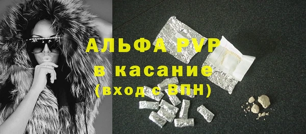 ПСИЛОЦИБИНОВЫЕ ГРИБЫ Осташков