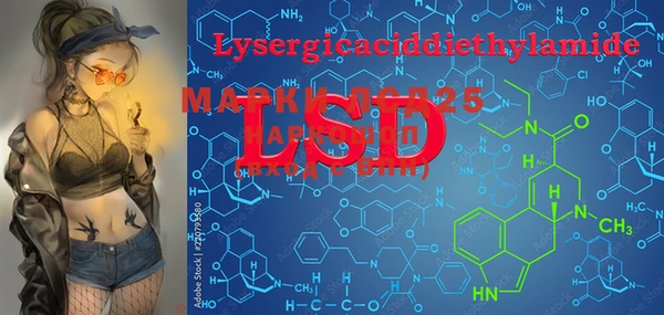 PSILOCYBIN Гатчина